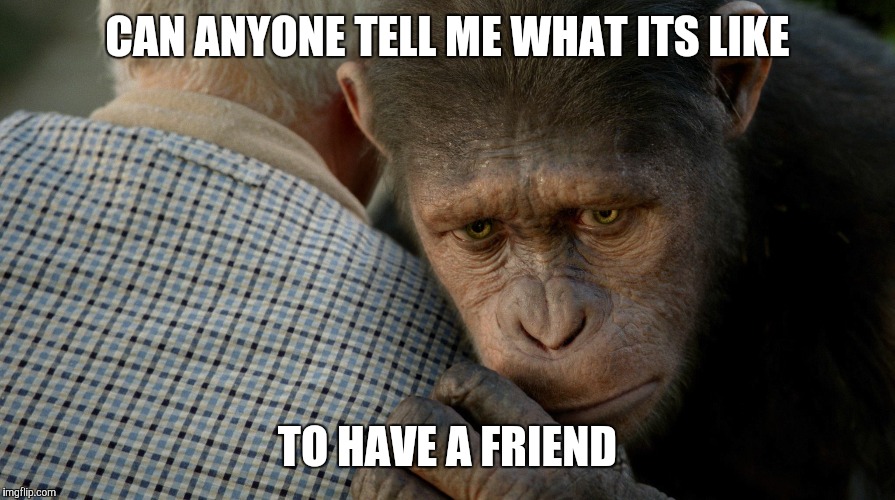 I often wonder | CAN ANYONE TELL ME WHAT ITS LIKE; TO HAVE A FRIEND | image tagged in no friends,lonely | made w/ Imgflip meme maker