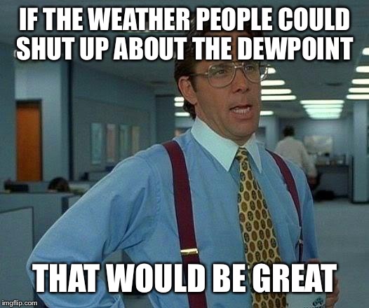 That Would Be Great | IF THE WEATHER PEOPLE COULD SHUT UP ABOUT THE DEWPOINT; THAT WOULD BE GREAT | image tagged in memes,that would be great | made w/ Imgflip meme maker