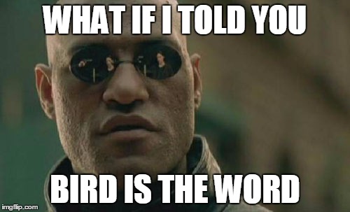 Matrix Morpheus |  WHAT IF I TOLD YOU; BIRD IS THE WORD | image tagged in memes,matrix morpheus | made w/ Imgflip meme maker