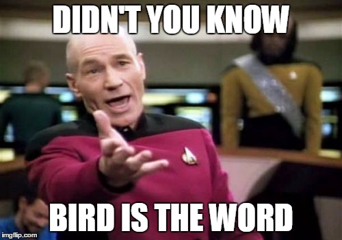 Picard Wtf |  DIDN'T YOU KNOW; BIRD IS THE WORD | image tagged in memes,picard wtf | made w/ Imgflip meme maker