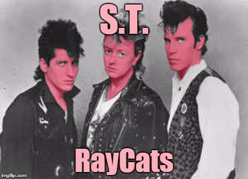 Crazy little thing called 'memes' | S.T. RayCats | image tagged in st raycats,super terrific,memes | made w/ Imgflip meme maker