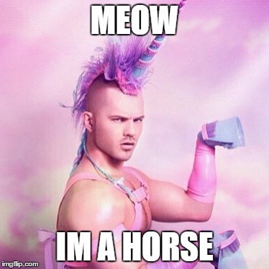 Unicorn MAN Meme | MEOW; IM A HORSE | image tagged in memes,unicorn man | made w/ Imgflip meme maker