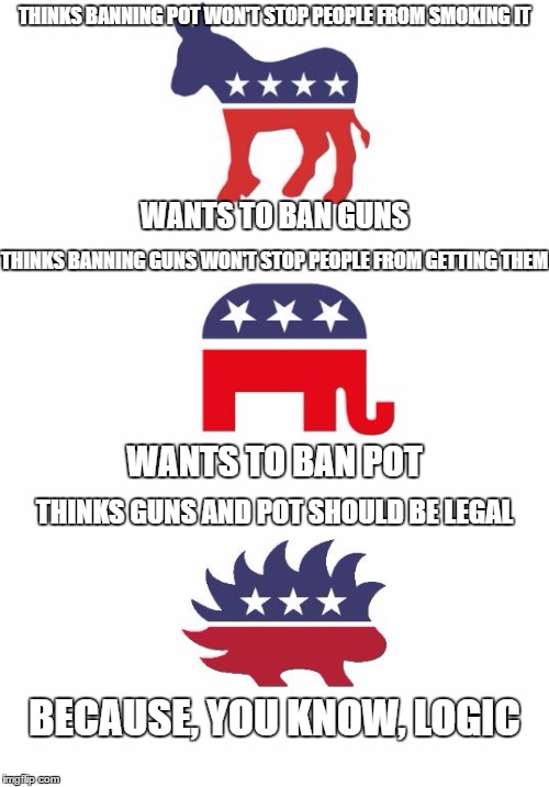 Major Party Logic | THINKS BANNING POT WON'T STOP PEOPLE FROM SMOKING IT; WANTS TO BAN GUNS; THINKS BANNING GUNS WON'T STOP PEOPLE FROM GETTING THEM; WANTS TO BAN POT; THINKS GUNS AND POT SHOULD BE LEGAL; BECAUSE, YOU KNOW, LOGIC | image tagged in republicans,guns,democrats,politics,libertarians,funny | made w/ Imgflip meme maker