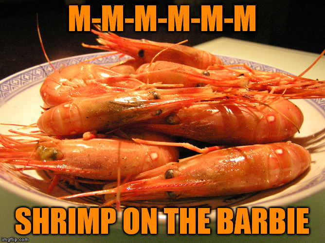 M-M-M-M-M-M SHRIMP ON THE BARBIE | made w/ Imgflip meme maker