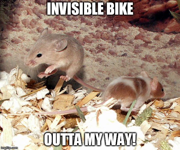 Invisible Bike | INVISIBLE BIKE; OUTTA MY WAY! | image tagged in mouse,invisible,bike | made w/ Imgflip meme maker