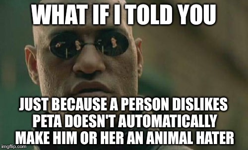 Matrix Morpheus Meme | WHAT IF I TOLD YOU; JUST BECAUSE A PERSON DISLIKES PETA DOESN'T AUTOMATICALLY MAKE HIM OR HER AN ANIMAL HATER | image tagged in memes,matrix morpheus | made w/ Imgflip meme maker