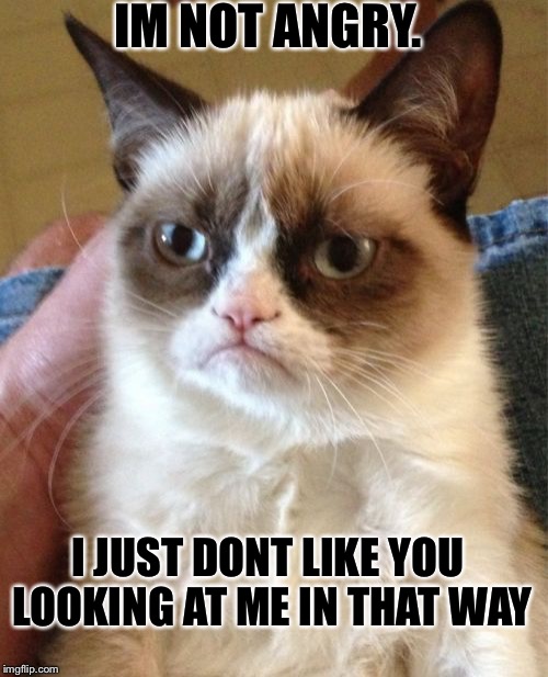 The looks |  IM NOT ANGRY. I JUST
DONT LIKE YOU LOOKING AT ME IN THAT WAY | image tagged in memes,grumpy cat | made w/ Imgflip meme maker