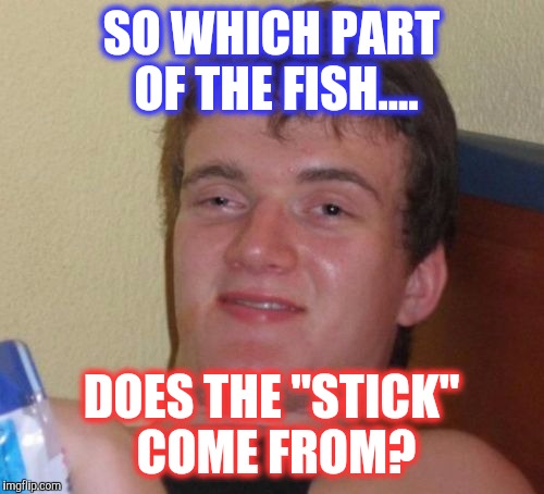 10 Guy Meme |  SO WHICH PART OF THE FISH.... DOES THE "STICK" COME FROM? | image tagged in memes,10 guy | made w/ Imgflip meme maker