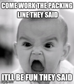 Angry Baby Meme | COME WORK THE PACKING LINE THEY SAID; ITLL BE FUN THEY SAID | image tagged in memes,angry baby | made w/ Imgflip meme maker