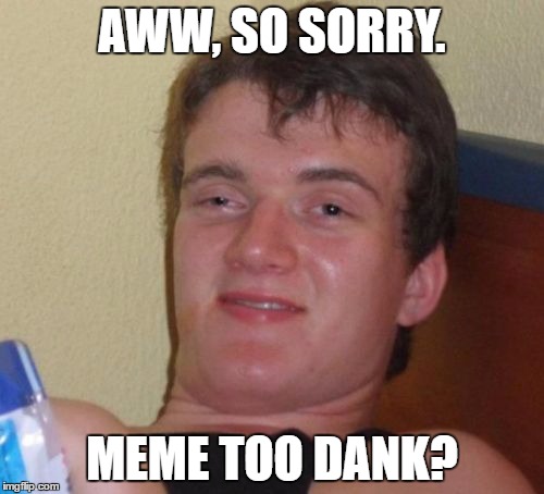 10 Guy | AWW, SO SORRY. MEME TOO DANK? | image tagged in memes,10 guy | made w/ Imgflip meme maker