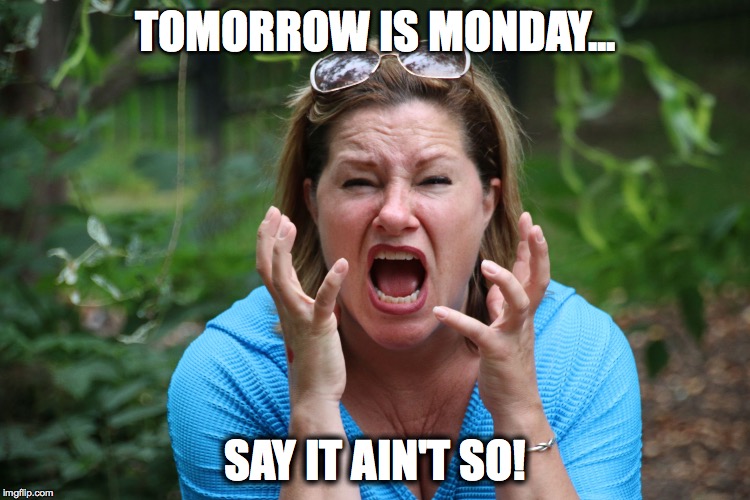 TOMORROW IS MONDAY... SAY IT AIN'T SO! | image tagged in kim | made w/ Imgflip meme maker