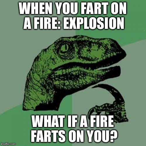 Philosoraptor | WHEN YOU FART ON A FIRE: EXPLOSION; WHAT IF A FIRE FARTS ON YOU? | image tagged in memes,philosoraptor | made w/ Imgflip meme maker