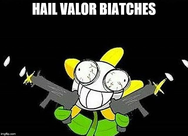 HAIL VALOR BIATCHES | made w/ Imgflip meme maker