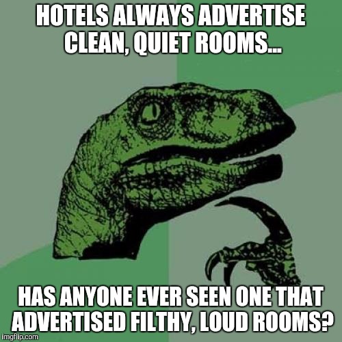 Philosoraptor | HOTELS ALWAYS ADVERTISE CLEAN, QUIET ROOMS... HAS ANYONE EVER SEEN ONE THAT ADVERTISED FILTHY, LOUD ROOMS? | image tagged in memes,philosoraptor | made w/ Imgflip meme maker