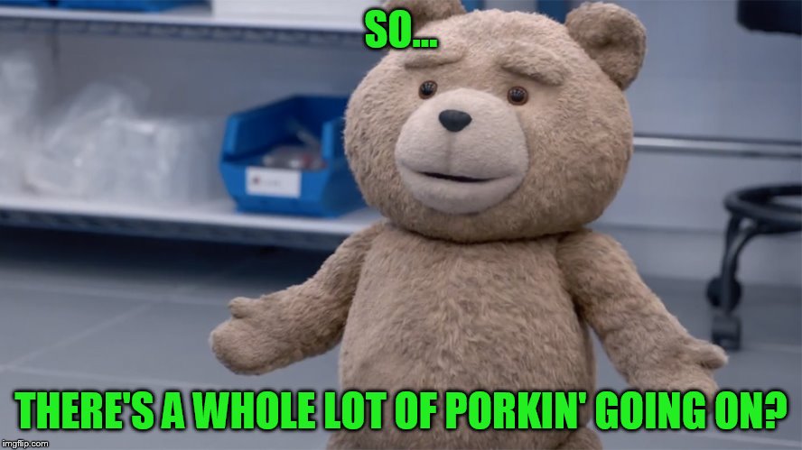 SO... THERE'S A WHOLE LOT OF PORKIN' GOING ON? | image tagged in ted question | made w/ Imgflip meme maker