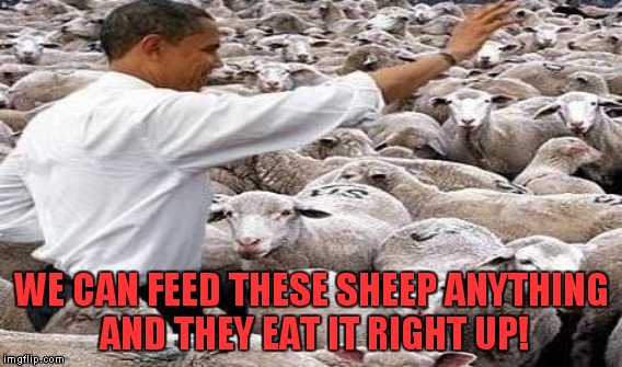Another day down on the farm  | WE CAN FEED THESE SHEEP ANYTHING AND THEY EAT IT RIGHT UP! | image tagged in obama,sheep,democrats | made w/ Imgflip meme maker