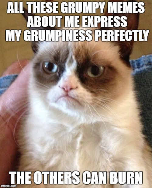 Grumpy cats memes | ALL THESE GRUMPY MEMES ABOUT ME EXPRESS MY GRUMPINESS PERFECTLY; THE OTHERS CAN BURN | image tagged in memes,grumpy cat | made w/ Imgflip meme maker