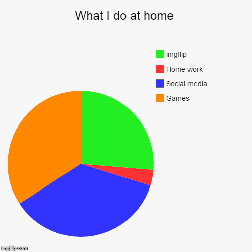What I do at home | image tagged in funny,pie charts | made w/ Imgflip chart maker