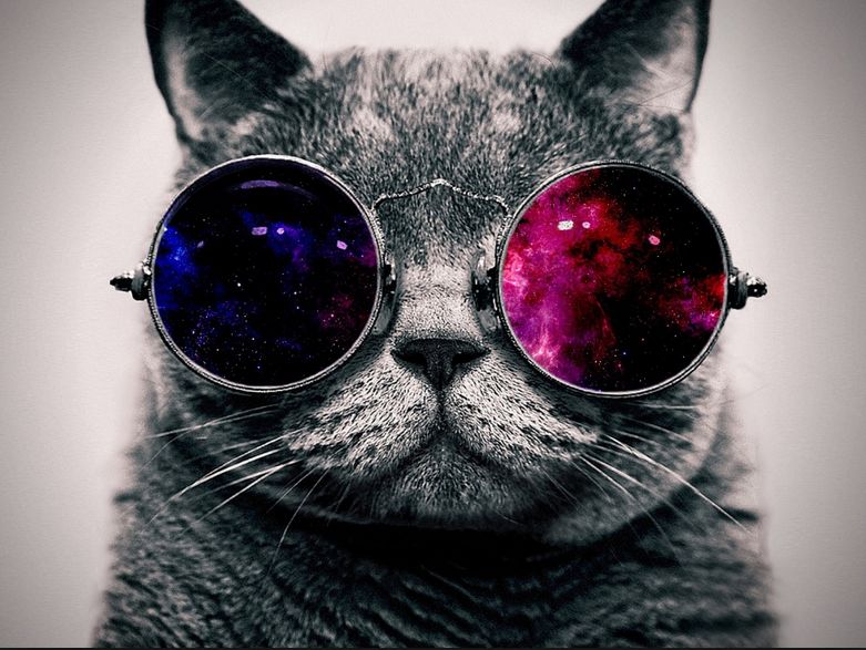 galaxy cat with glasses Blank Meme Template
