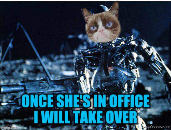 grump cat terminator | ONCE SHE'S IN OFFICE I WILL TAKE OVER | image tagged in grump cat terminator | made w/ Imgflip meme maker