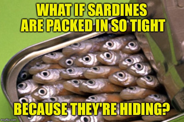 WHAT IF SARDINES ARE PACKED IN SO TIGHT BECAUSE THEY'RE HIDING? | made w/ Imgflip meme maker