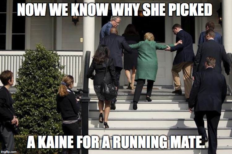 Hillary Kaine | NOW WE KNOW WHY SHE PICKED; A KAINE FOR A RUNNING MATE. | image tagged in hillary kaine,hillary | made w/ Imgflip meme maker