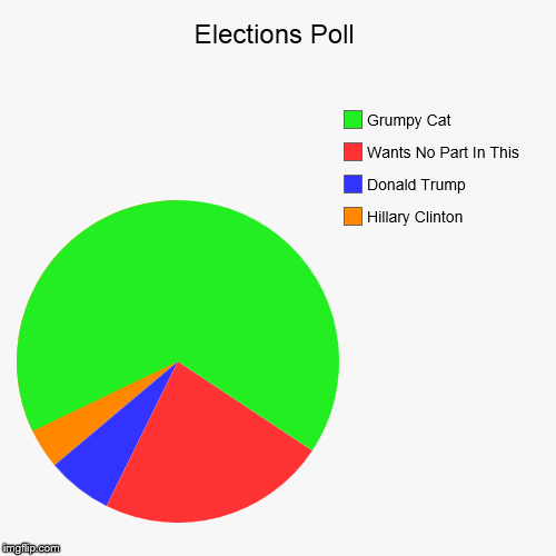 image tagged in funny,pie charts | made w/ Imgflip chart maker