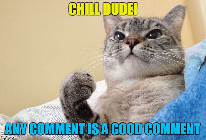 Success Cat #1 | CHILL DUDE! ANY COMMENT IS A GOOD COMMENT | image tagged in success cat 1 | made w/ Imgflip meme maker