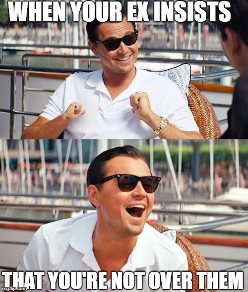 Leonardo Dicaprio Wolf Of Wall Street Meme | WHEN YOUR EX INSISTS; THAT YOU'RE NOT OVER THEM | image tagged in memes,leonardo dicaprio wolf of wall street | made w/ Imgflip meme maker