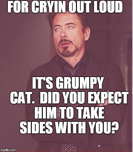 Face You Make Robert Downey Jr Meme | FOR CRYIN OUT LOUD IT'S GRUMPY CAT.  DID YOU EXPECT HIM TO TAKE SIDES WITH YOU? | image tagged in memes,face you make robert downey jr | made w/ Imgflip meme maker