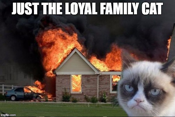 JUST THE LOYAL FAMILY CAT | made w/ Imgflip meme maker
