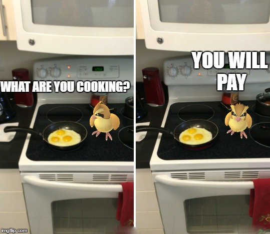 i just found this. i thought it was meme material | YOU WILL PAY; WHAT ARE YOU COOKING? | image tagged in pokemon,memes,other | made w/ Imgflip meme maker