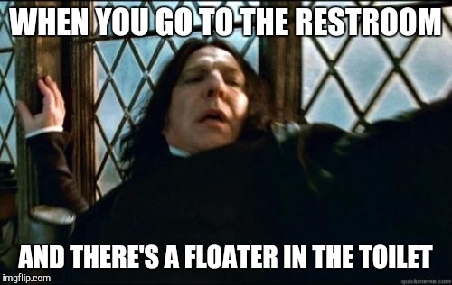 Snape Meme | WHEN YOU GO TO THE RESTROOM; AND THERE'S A FLOATER IN THE TOILET | image tagged in memes,snape | made w/ Imgflip meme maker