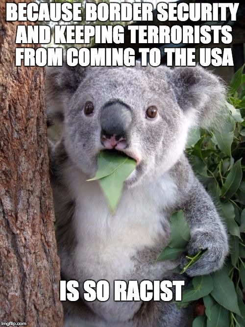 WTF Koala | BECAUSE BORDER SECURITY AND KEEPING TERRORISTS FROM COMING TO THE USA IS SO RACIST | image tagged in wtf koala | made w/ Imgflip meme maker