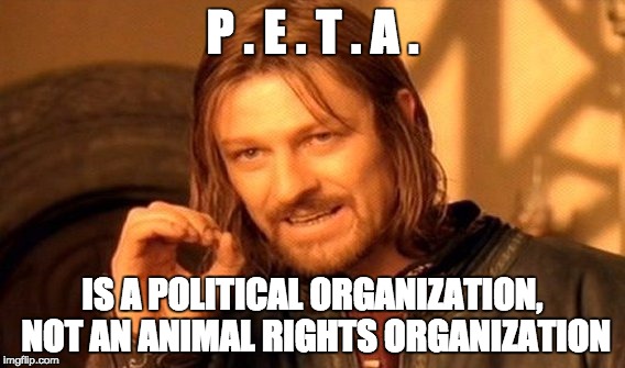 One Does Not Simply Meme | P . E . T . A . IS A POLITICAL ORGANIZATION, NOT AN ANIMAL RIGHTS ORGANIZATION | image tagged in memes,one does not simply | made w/ Imgflip meme maker