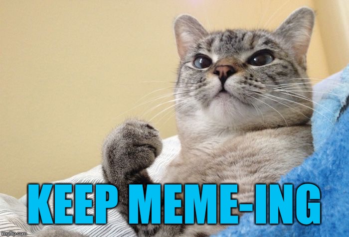 Success Cat #1 | KEEP MEME-ING | image tagged in success cat 1 | made w/ Imgflip meme maker