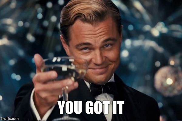 Leonardo Dicaprio Cheers Meme | YOU GOT IT | image tagged in memes,leonardo dicaprio cheers | made w/ Imgflip meme maker