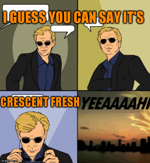 Horatio CSI Miami | I GUESS YOU CAN SAY IT'S CRESCENT FRESH | image tagged in horatio csi miami | made w/ Imgflip meme maker