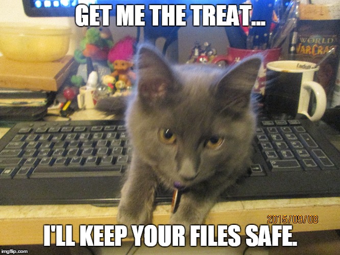 comp kitty | GET ME THE TREAT... I'LL KEEP YOUR FILES SAFE. | image tagged in kitty | made w/ Imgflip meme maker