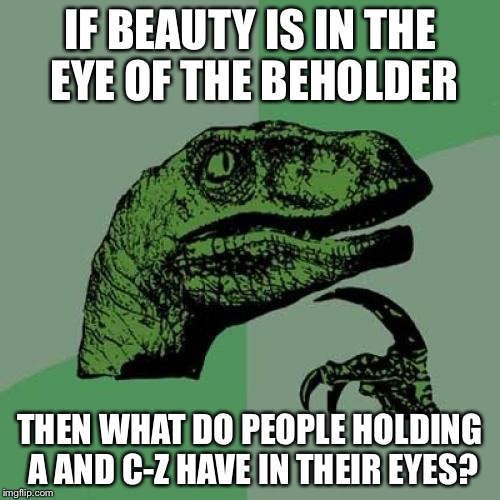 Philosoraptor Meme |  IF BEAUTY IS IN THE EYE OF THE BEHOLDER; THEN WHAT DO PEOPLE HOLDING A AND C-Z HAVE IN THEIR EYES? | image tagged in memes,philosoraptor | made w/ Imgflip meme maker