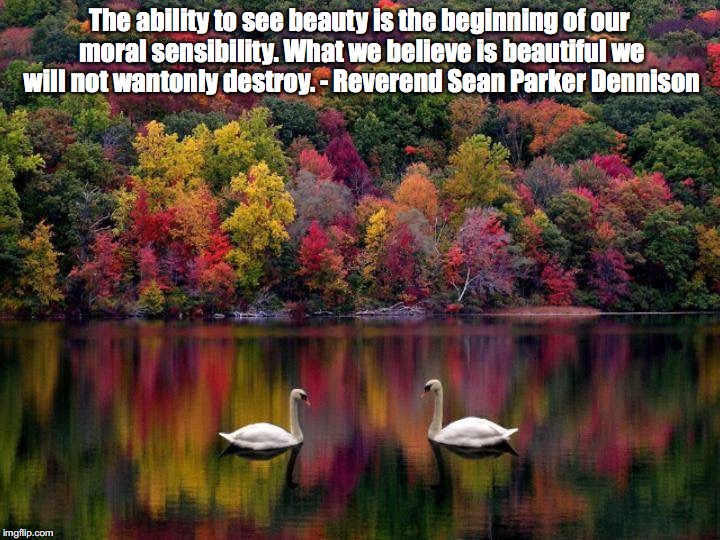 See the Beauty | The ability to see beauty is the beginning of our moral sensibility. What we believe is beautiful we will not wantonly destroy. - Reverend Sean Parker Dennison | image tagged in beauty,morality | made w/ Imgflip meme maker