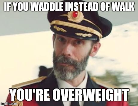Captain Obvious | IF YOU WADDLE INSTEAD OF WALK; YOU'RE OVERWEIGHT | image tagged in captain obvious | made w/ Imgflip meme maker