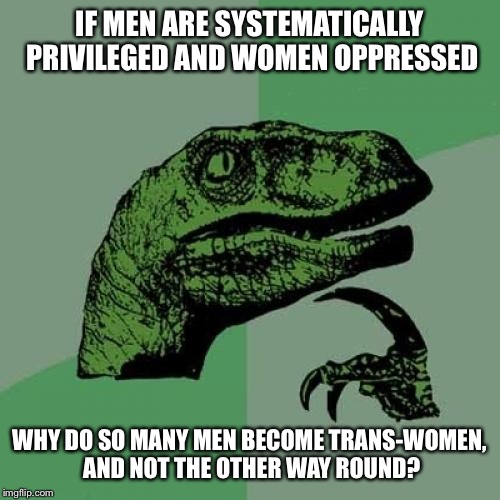 Philosoraptor Meme | IF MEN ARE SYSTEMATICALLY PRIVILEGED AND WOMEN OPPRESSED; WHY DO SO MANY MEN BECOME TRANS-WOMEN, AND NOT THE OTHER WAY ROUND? | image tagged in memes,philosoraptor | made w/ Imgflip meme maker