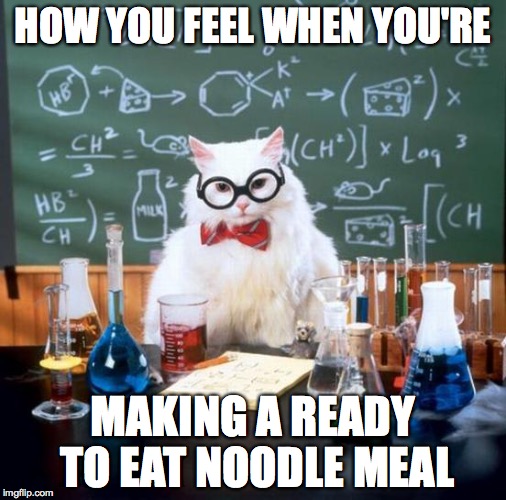 Chemistry Cat Meme | HOW YOU FEEL WHEN YOU'RE; MAKING A READY TO EAT NOODLE MEAL | image tagged in memes,chemistry cat | made w/ Imgflip meme maker