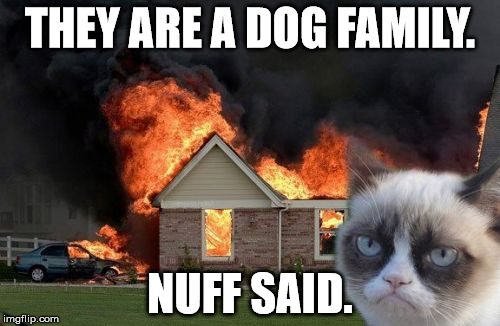 Burn Kitty Meme | THEY ARE A DOG FAMILY. NUFF SAID. | image tagged in memes,burn kitty | made w/ Imgflip meme maker