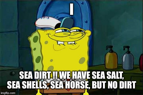 Don't You Squidward Meme | I SEA DIRT !! WE HAVE SEA SALT, SEA SHELLS, SEA HORSE, BUT NO DIRT | image tagged in memes,dont you squidward | made w/ Imgflip meme maker