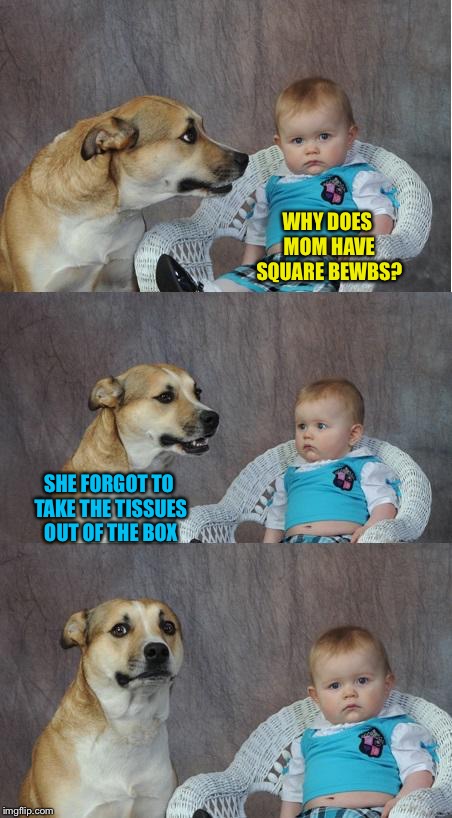 Bad joke dog | WHY DOES MOM HAVE SQUARE BEWBS? SHE FORGOT TO TAKE THE TISSUES OUT OF THE BOX | image tagged in bad joke dog,memes | made w/ Imgflip meme maker
