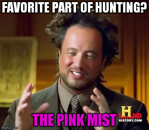 Ancient Aliens Meme | FAVORITE PART OF HUNTING? THE PINK MIST | image tagged in memes,ancient aliens | made w/ Imgflip meme maker