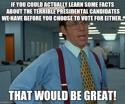 YOU KNOW WHAT WOULD BE GREAT? | IF YOU COULD ACTUALLY LEARN SOME FACTS ABOUT THE TERRIBLE PRESIDENTAL CANDIDATES WE HAVE BEFORE YOU CHOOSE TO VOTE FOR EITHER... THAT WOULD BE GREAT! | image tagged in memes,that would be great,election 2016,donald trump,hillary clinton,politics | made w/ Imgflip meme maker