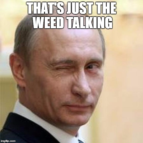 Putin Wink | THAT'S JUST THE WEED TALKING | image tagged in putin wink | made w/ Imgflip meme maker